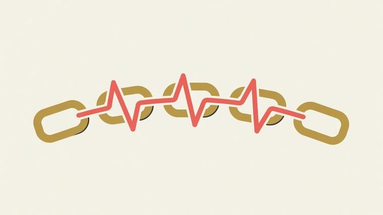 Best Practices For Maintaining A Healthy Link Prof