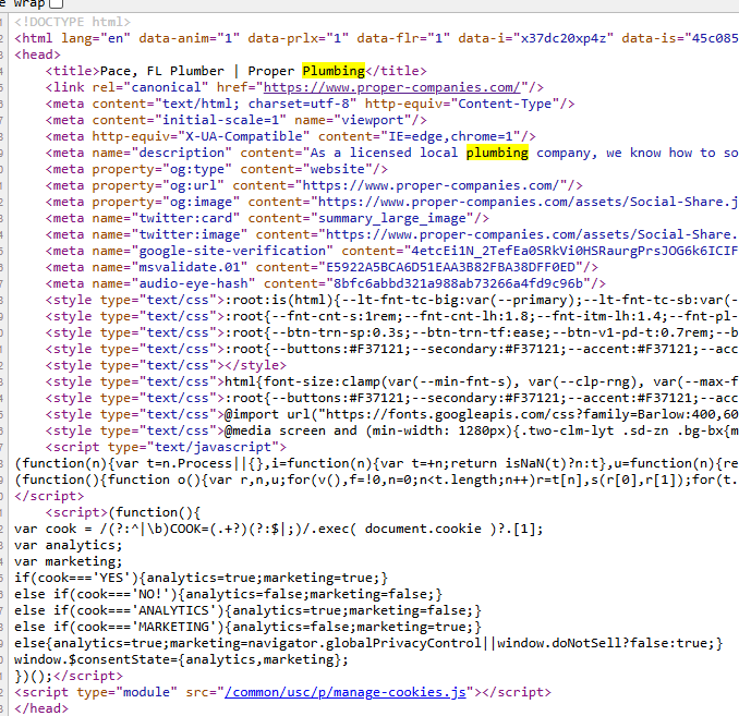 Raw HTML source code of a competitor plumber page opened in the browser